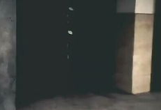 国产精www,传承与创新的中国文化瑰宝