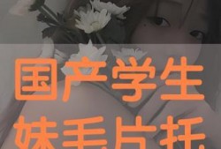 国产毛片毛片毛片毛片毛片毛片毛片,揭秘我国影视产业的独特魅力